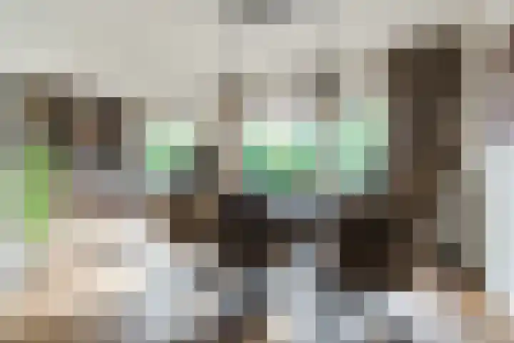 Franklin D Rooseveltlaan 8 Eindhoven thumbnail 9