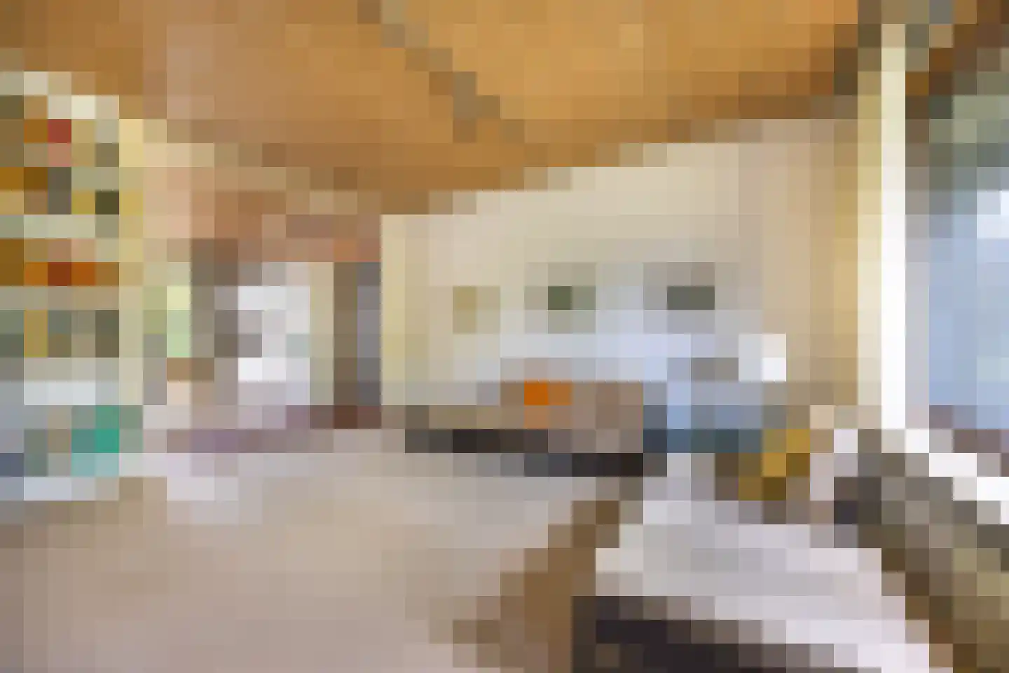 Franklin D. Rooseveltlaan 8 Rijswijk thumbnail 10
