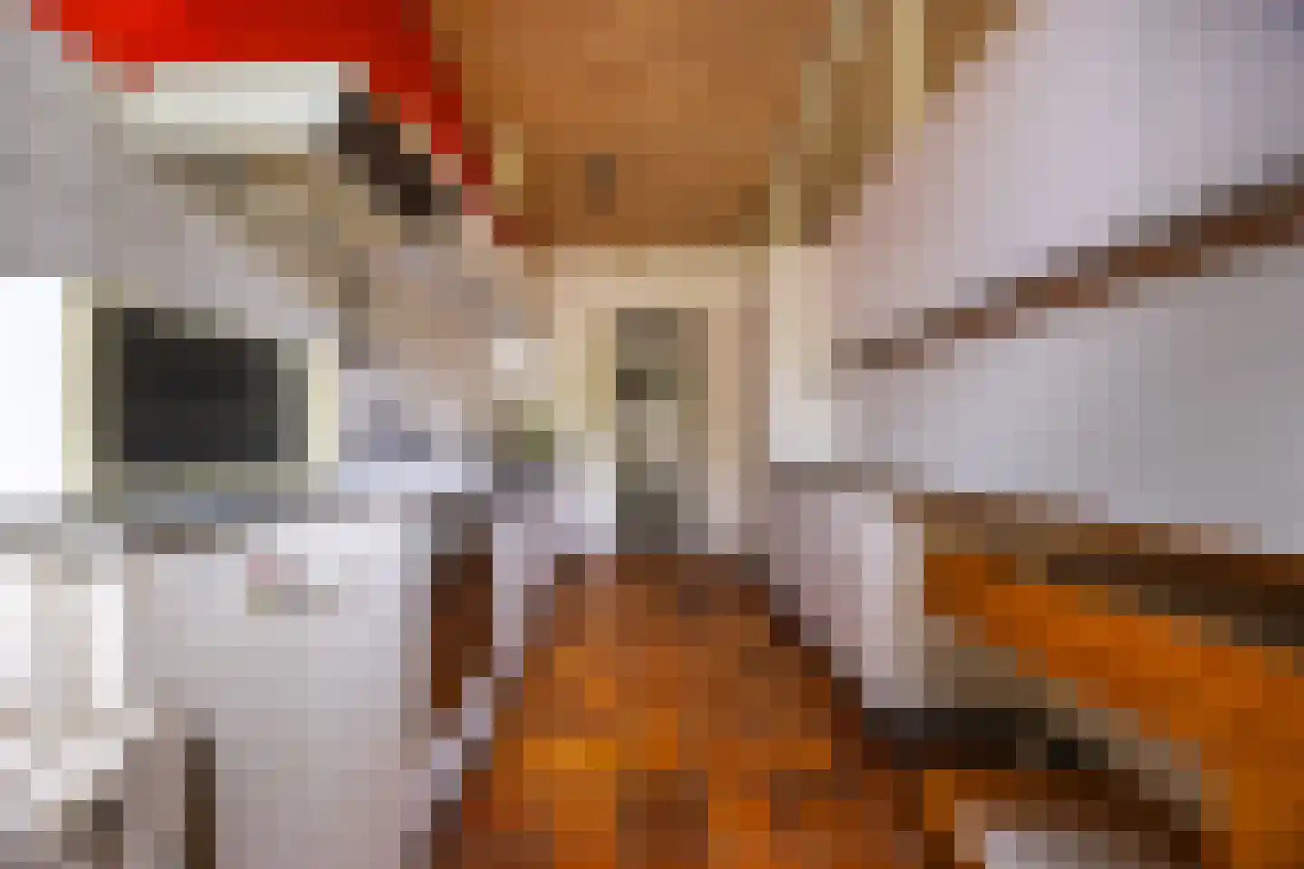 Franklin D. Rooseveltlaan 8 Rijswijk thumbnail 14