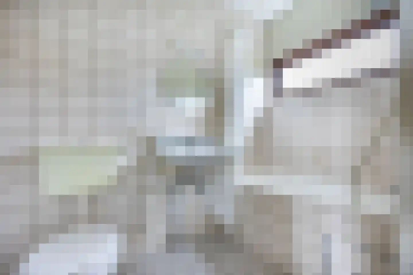 Franklin D. Rooseveltlaan 8 Rijswijk thumbnail 30