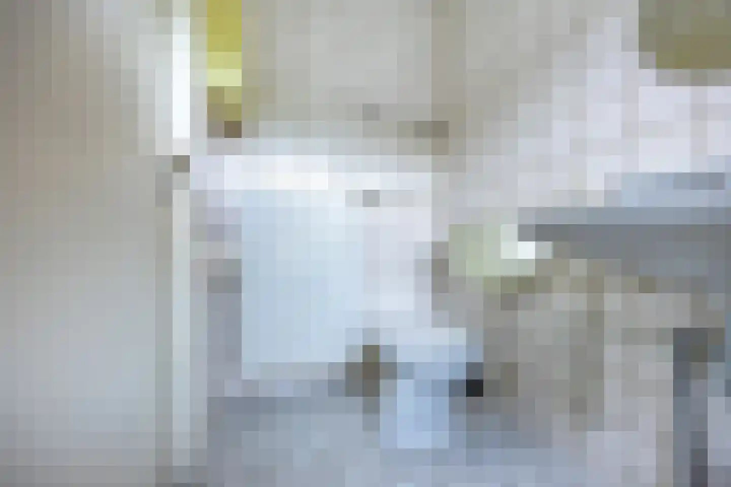 Franklin D. Rooseveltlaan 8 Rijswijk thumbnail 31