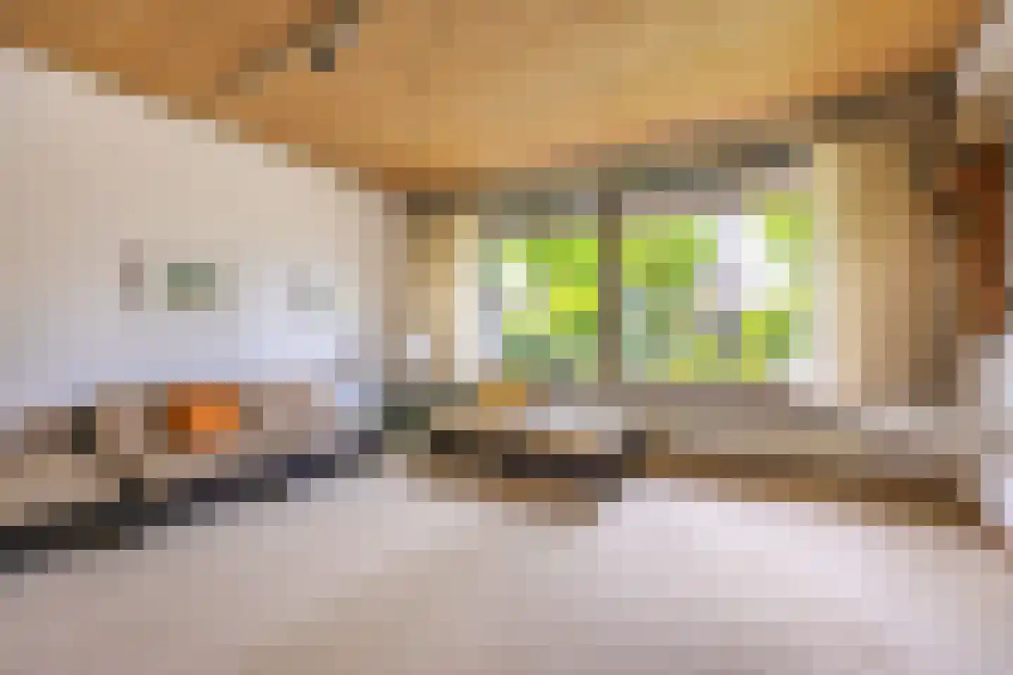 Franklin D. Rooseveltlaan 8 Rijswijk thumbnail 9