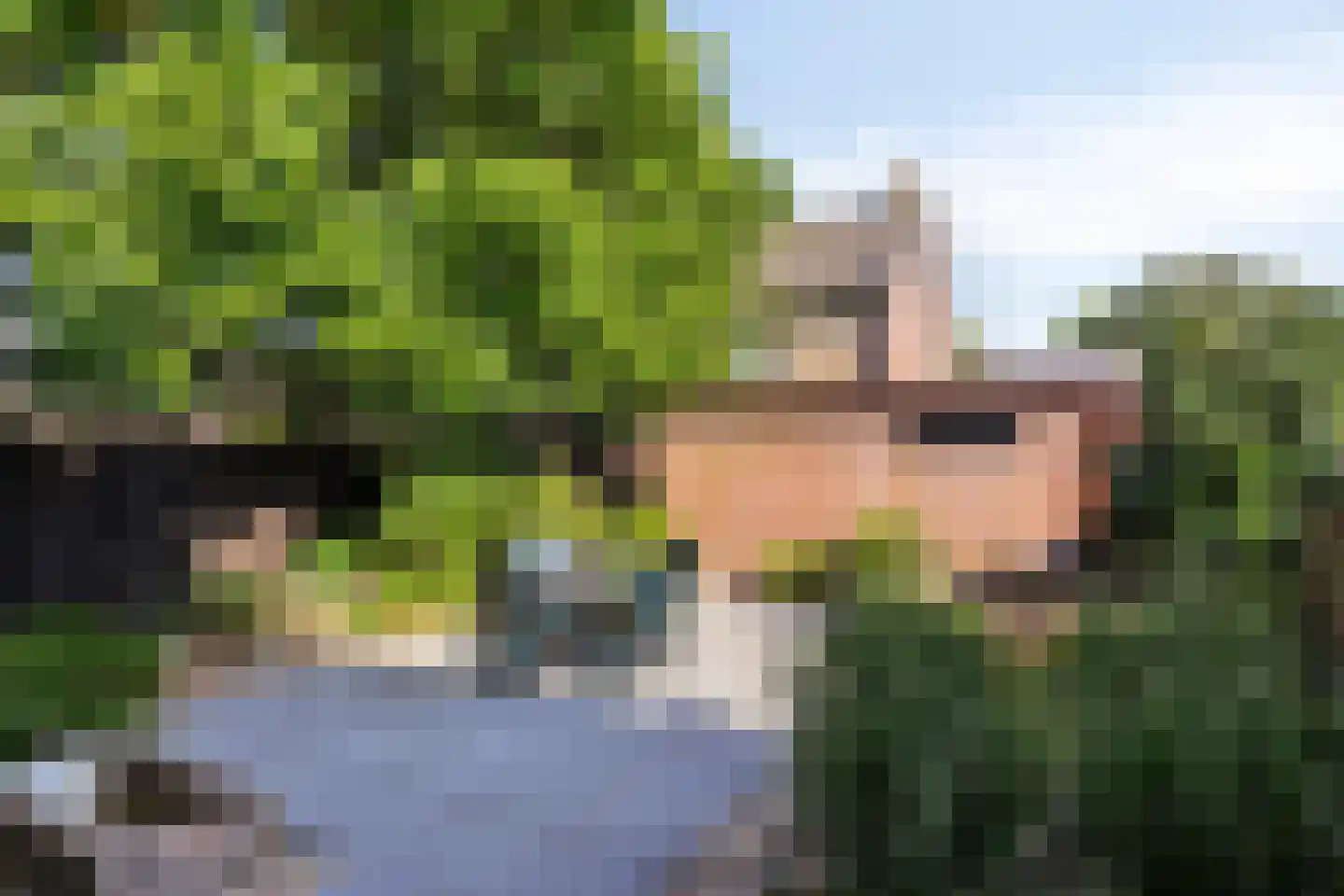 Franklin D Rooseveltlaan 90 Eindhoven thumbnail 31