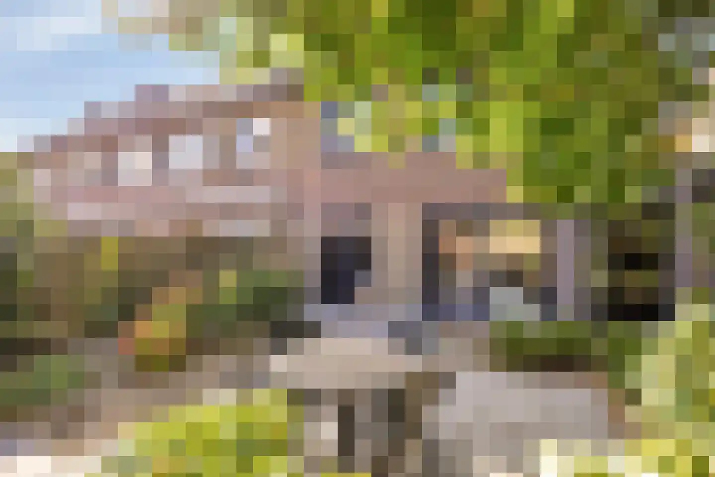 Franklin D Rooseveltlaan 90 Eindhoven thumbnail 36