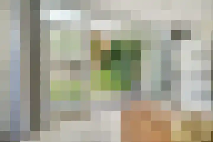 Franklin Rooseveltlaan 11 Breda thumbnail 10