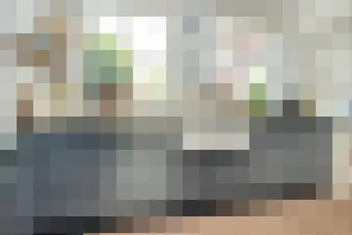 Franklin Rooseveltlaan 11 Breda thumbnail 13