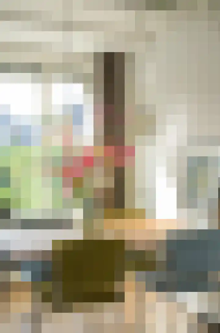 Franklin Rooseveltlaan 11 Breda thumbnail 20