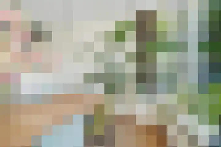 Franklin Rooseveltlaan 11 Breda thumbnail 21