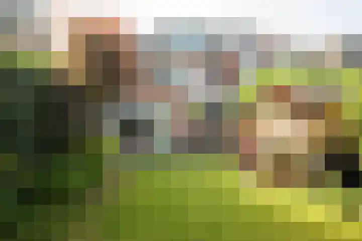 Franklin Rooseveltlaan 11 Breda thumbnail 32