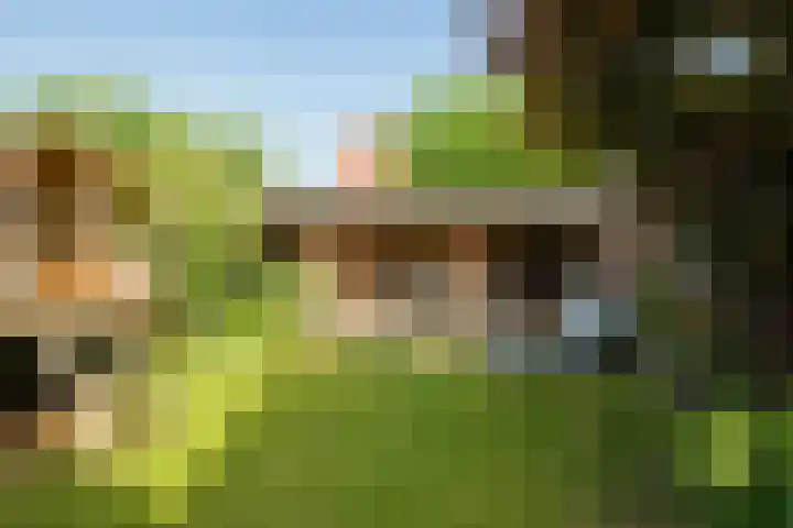 Franklin Rooseveltlaan 11 Breda thumbnail 33