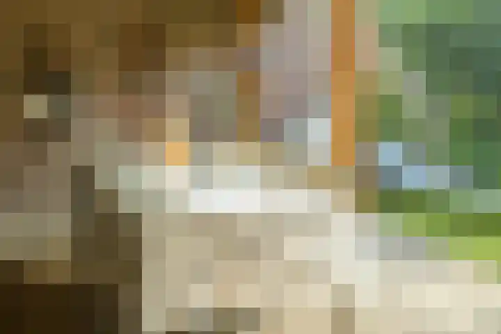 Franklin Rooseveltlaan 11 Breda thumbnail 35