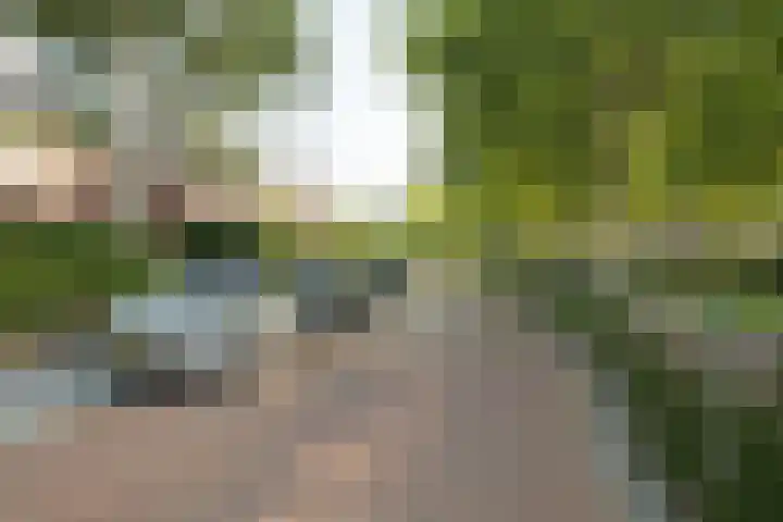 Franklin Rooseveltlaan 11 Breda thumbnail 36