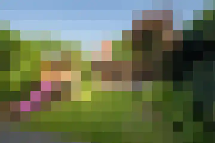 Franklin Rooseveltlaan 11 Breda thumbnail 5