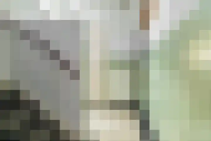 Franklin Rooseveltlaan 11 Breda thumbnail 8