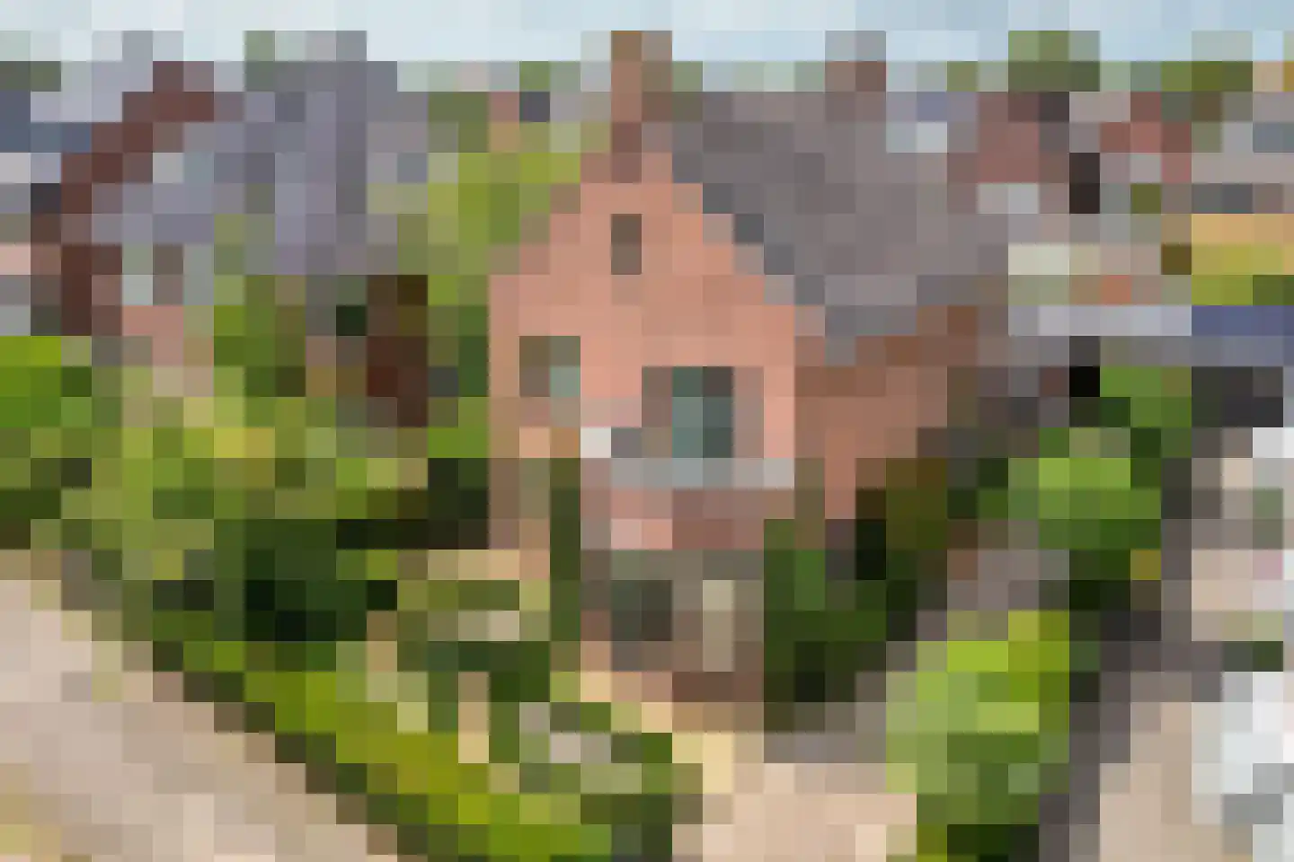 Franklin Rooseveltlaan 23 Breda thumbnail 44