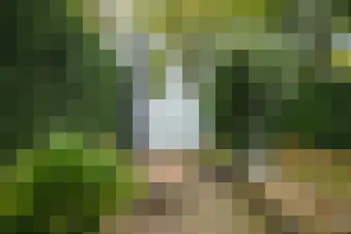 Franklin Rooseveltlaan 47 Breda thumbnail 100