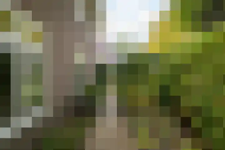 Franklin Rooseveltlaan 47 Breda thumbnail 101