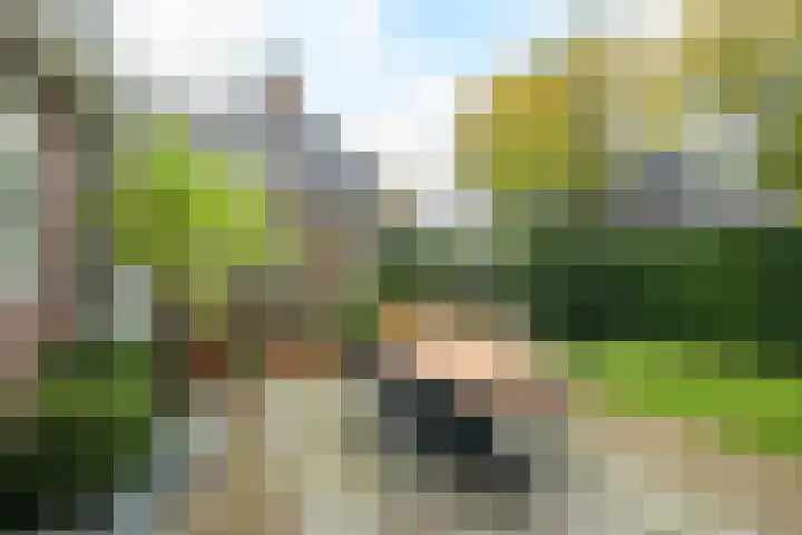 Franklin Rooseveltlaan 47 Breda thumbnail 102