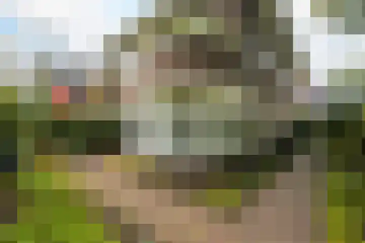 Franklin Rooseveltlaan 47 Breda thumbnail 103