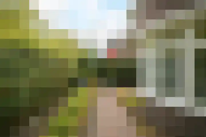 Franklin Rooseveltlaan 47 Breda thumbnail 105