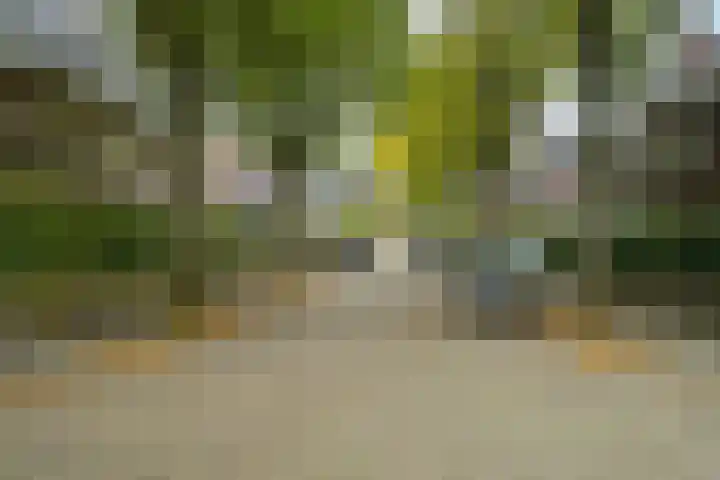 Franklin Rooseveltlaan 47 Breda thumbnail 109