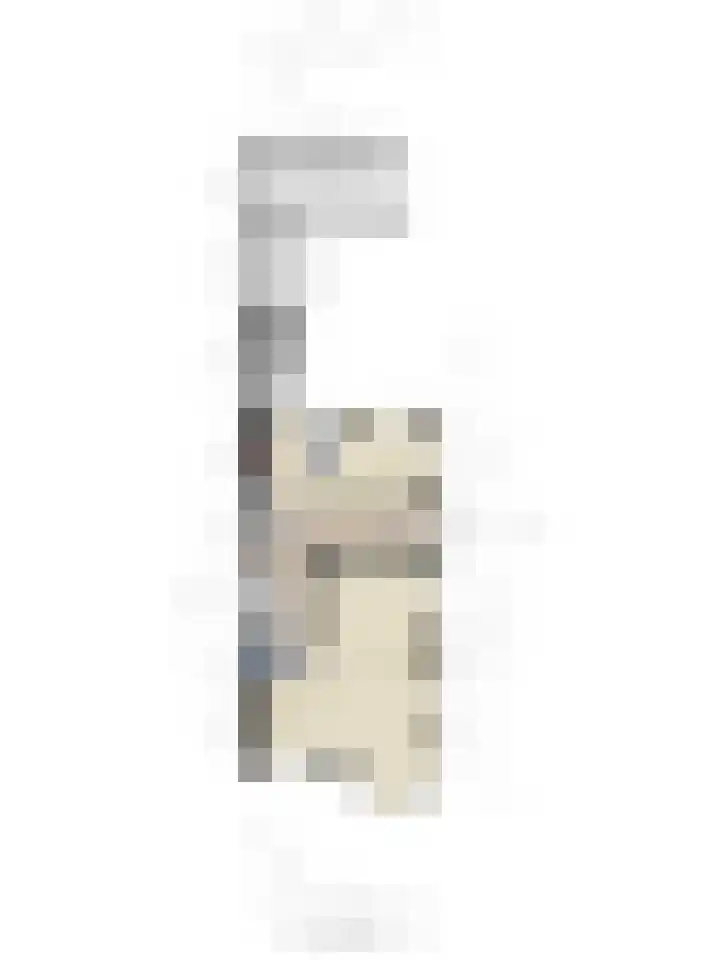 Franklin Rooseveltlaan 47 Breda thumbnail 110