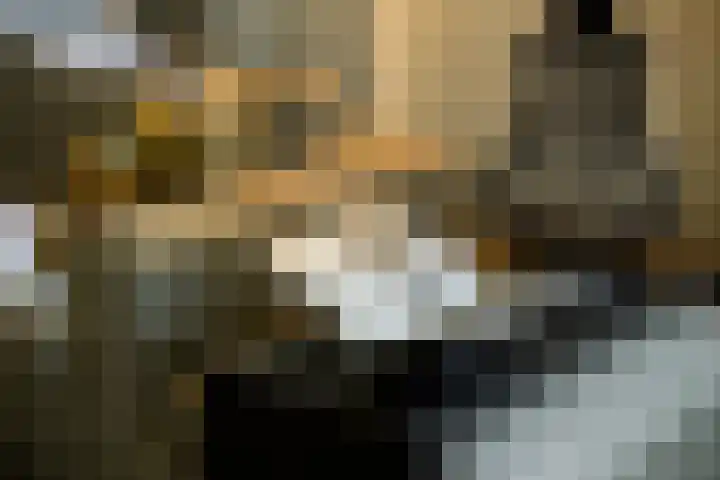 Franklin Rooseveltlaan 47 Breda thumbnail 19