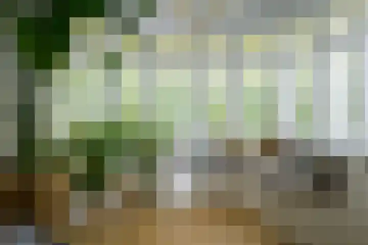 Franklin Rooseveltlaan 47 Breda thumbnail 25