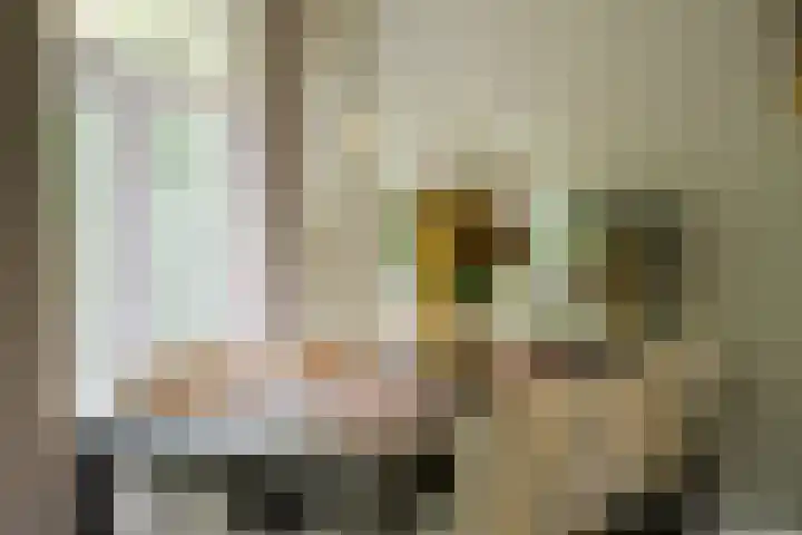 Franklin Rooseveltlaan 47 Breda thumbnail 34