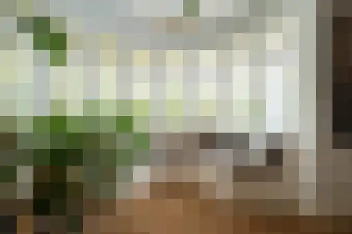 Franklin Rooseveltlaan 47 Breda thumbnail 36