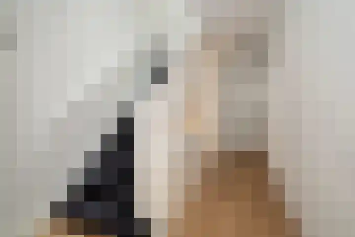 Franklin Rooseveltlaan 47 Breda thumbnail 56