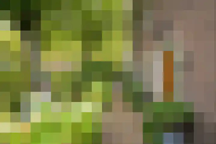 Franklin Rooseveltlaan 47 Breda thumbnail 8