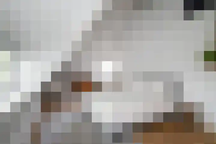 Franklin Rooseveltlaan 47 Breda thumbnail 83