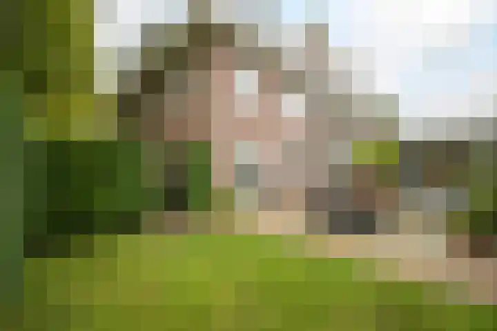 Franklin Rooseveltlaan 47 Breda thumbnail 91