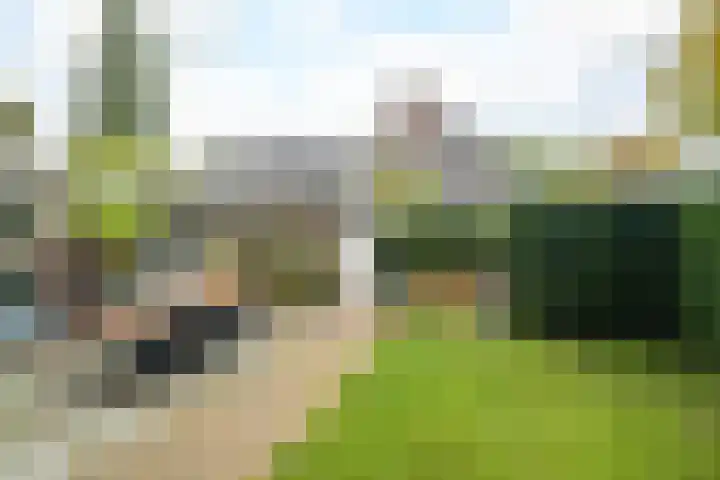 Franklin Rooseveltlaan 47 Breda thumbnail 93