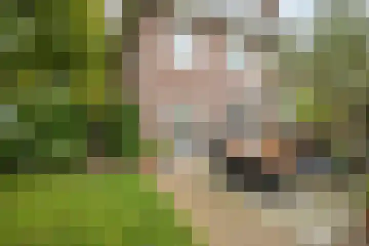 Franklin Rooseveltlaan 47 Breda thumbnail 97