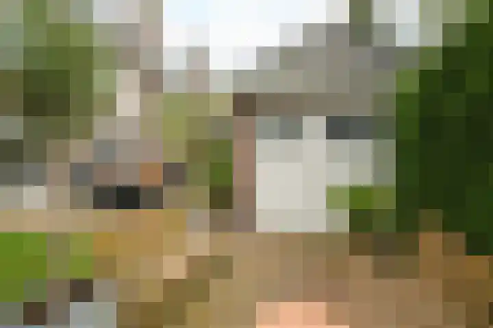 Franklin Rooseveltlaan 47 Breda thumbnail 99