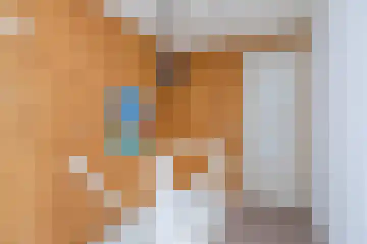 Franklin Rooseveltlaan 55 Breda thumbnail 31