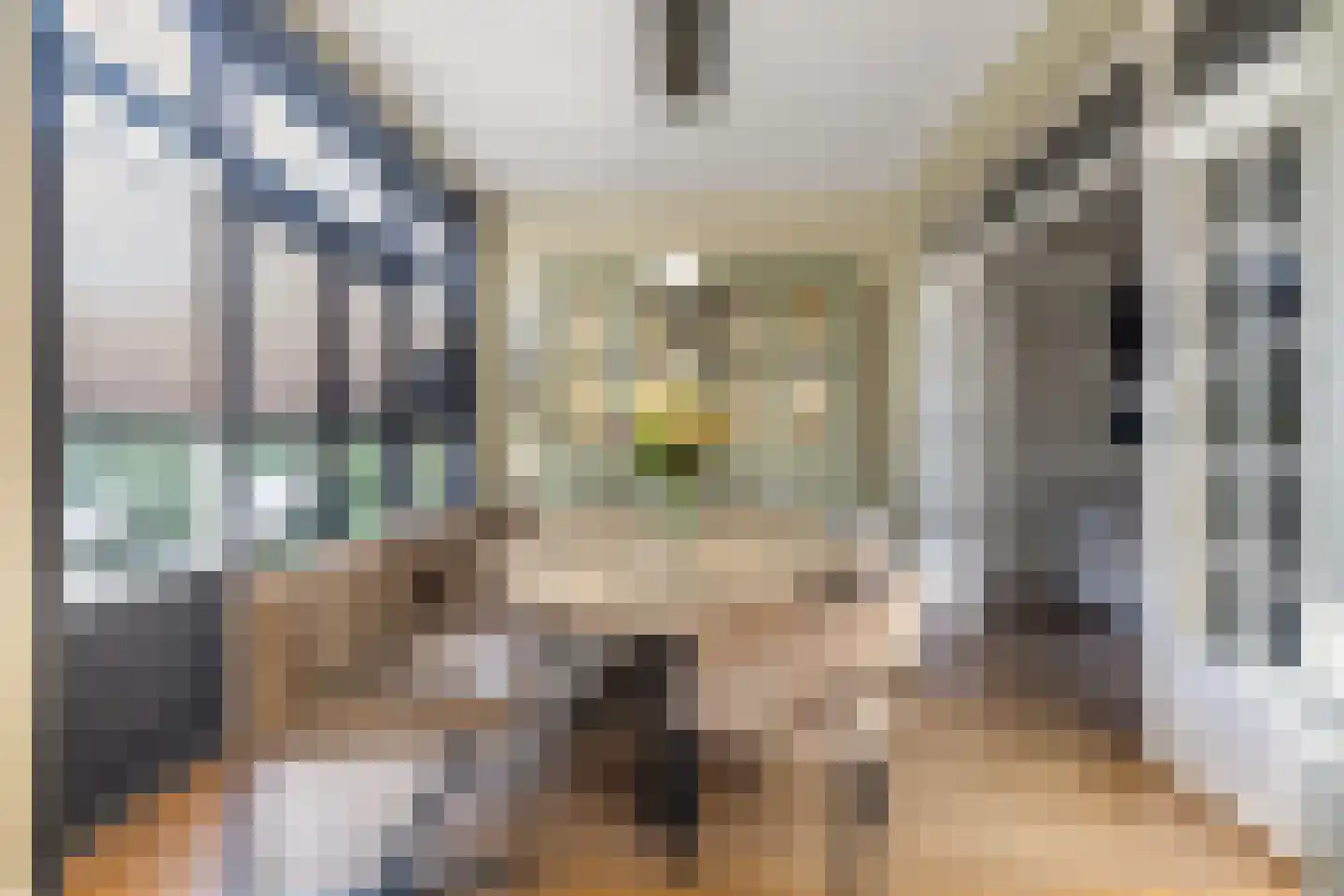 Franklin Rooseveltlaan 72 Breda thumbnail 30