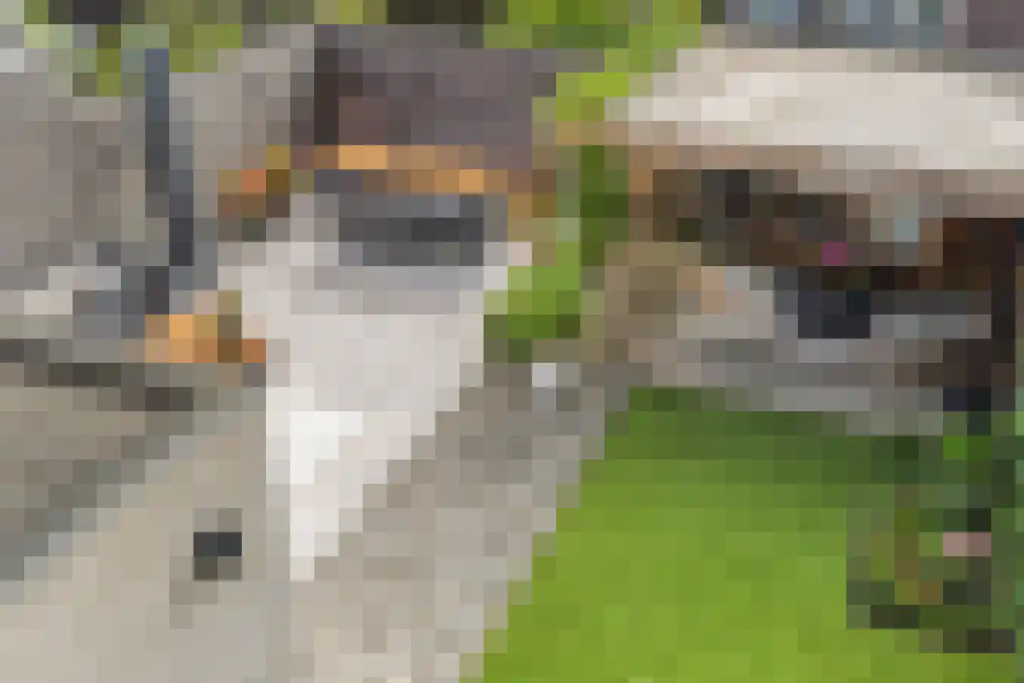 Franklin Rooseveltlaan 72 Breda thumbnail 75