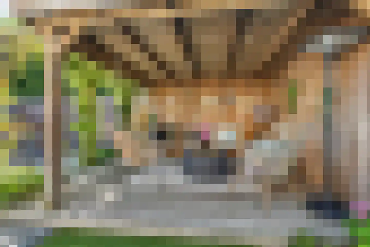 Franklin Rooseveltlaan 72 Breda thumbnail 78