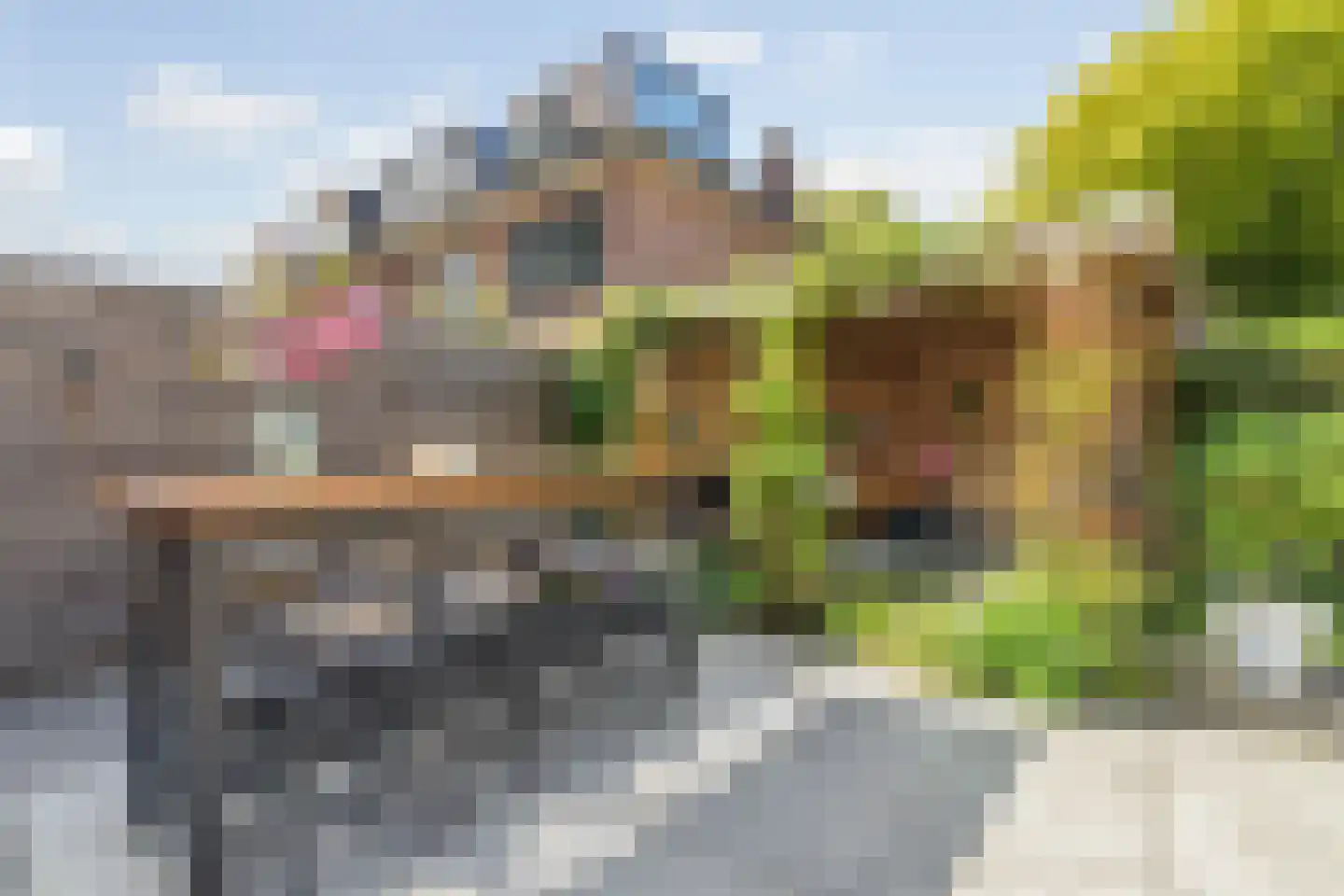 Franklin Rooseveltlaan 72 Breda thumbnail 88