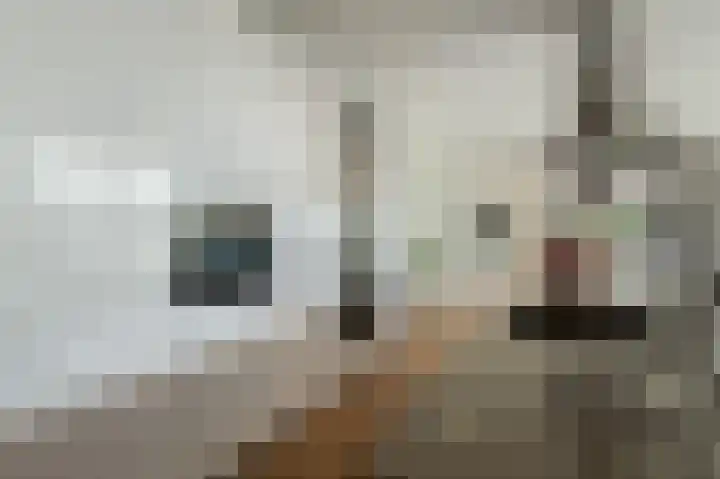 Franklinhage 7 Emmeloord thumbnail 12