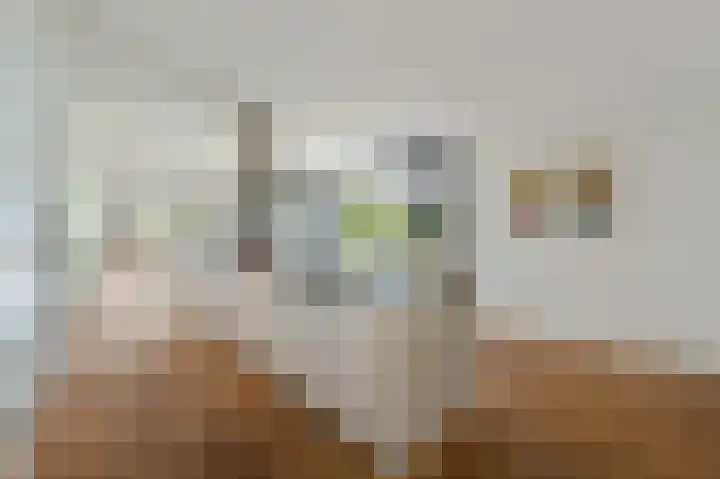 Franklinhage 7 Emmeloord thumbnail 13