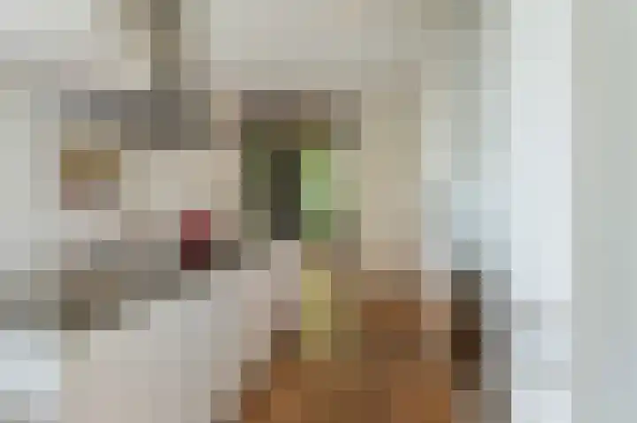 Franklinhage 7 Emmeloord thumbnail 16