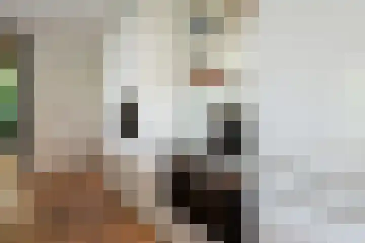 Franklinhage 7 Emmeloord thumbnail 17