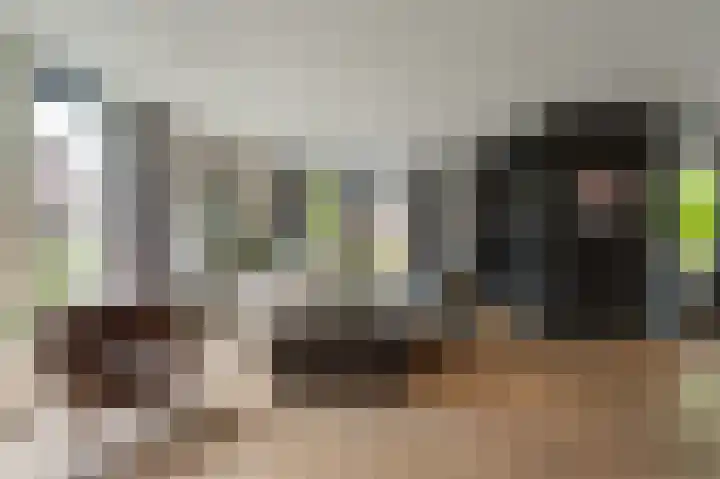 Franklinhage 7 Emmeloord thumbnail 22
