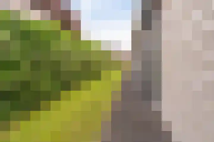 Franklinhage 7 Emmeloord thumbnail 29