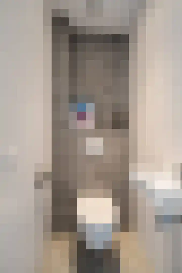 Franklinhage 7 Emmeloord thumbnail 39