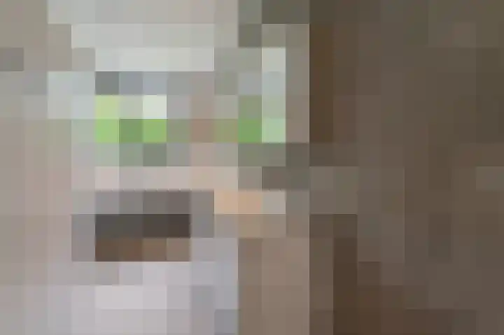Franklinhage 7 Emmeloord thumbnail 41